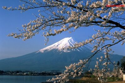 Ngọn núi Phú Sĩ hiện ra đầy xinh đẹp