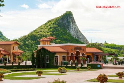 Đến vườn nho Silver lake tham quan và thưởng thức các sản phẩm từ nho.