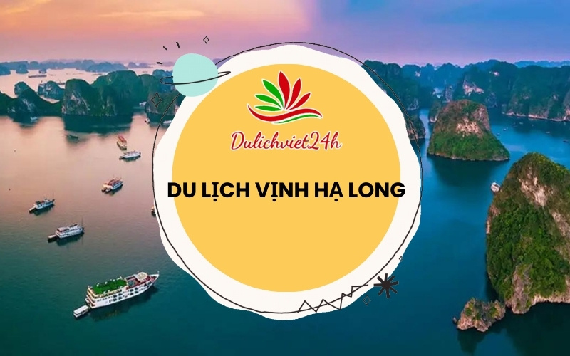 du lịch vịnh hạ long
