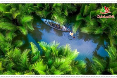 ghé thăm Khu du lịch sinh thái Rừng Dừa Bẩy Mẫu