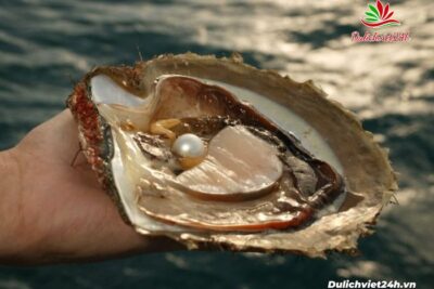 Du khách sẽ được tham quan và trải nghiệm cùng ngư dân làng Ngọc Trai nổi tiếng trong tour Huế 1 ngày