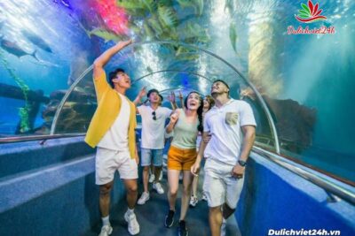 Thủy cung Vinpearl Land Nha Trang (VinWonders) có gì?