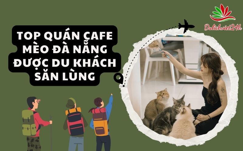 quán cafe mèo Đà Nẵng