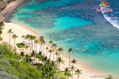 Tour 1 ngày tại Cù Lao Chàm