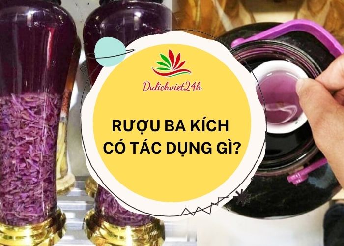 rượu ba kích