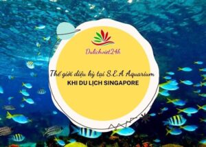 thế giới diệu kỳ tại sea aquarium