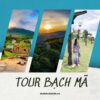 Tour Bạch Mã