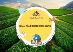 đồi chè đông giang